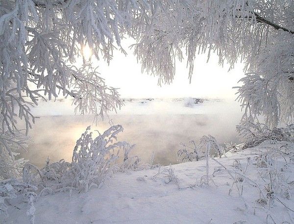 живые картинки зимы живые картинки зимы