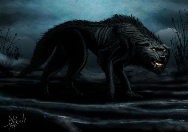 loup noir m 233 chant loup noir m 233 chant